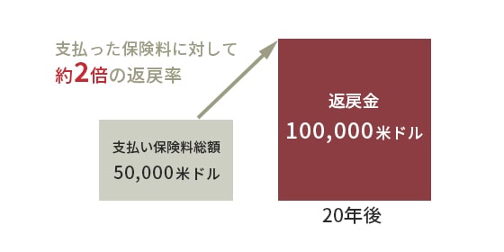 画像：支払った保険料に対して約2倍の返戻率